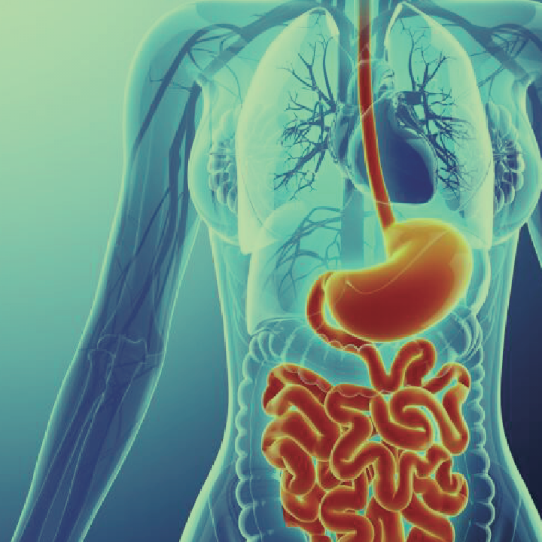 Gastroenterology Products